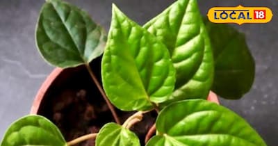 प्रतीकात्मक