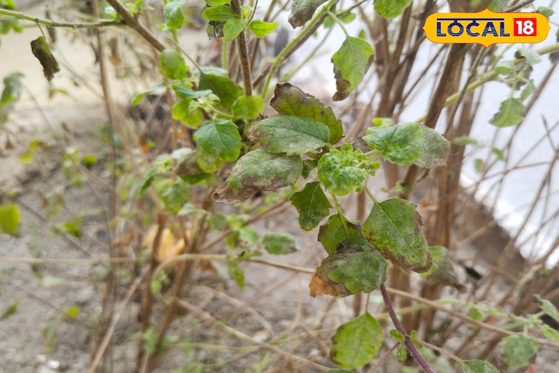 किचन के उपाय अपनाएं