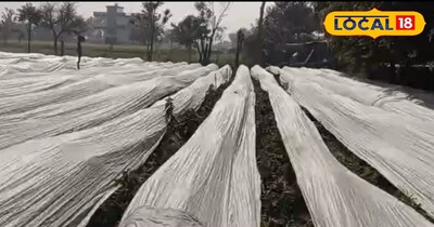 winter agriculture tips