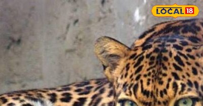 प्रतीकात्मक