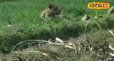 सांकेतिक फोटो.