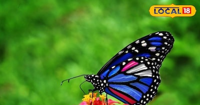 सांकेतिक फोटो.