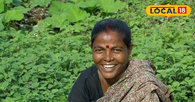 महिला किसान की सांकेतिक तस्वीर 