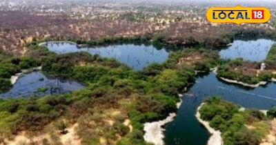 नानी बीड़ 