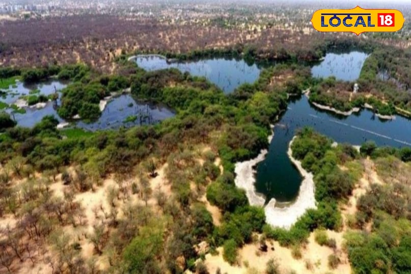 नानी बीड़ 