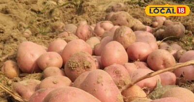 Potatoes,desi trick ,store, not rot, freeze, whole process