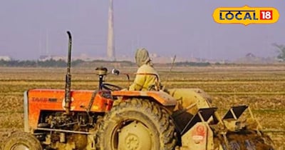 धान की खेती