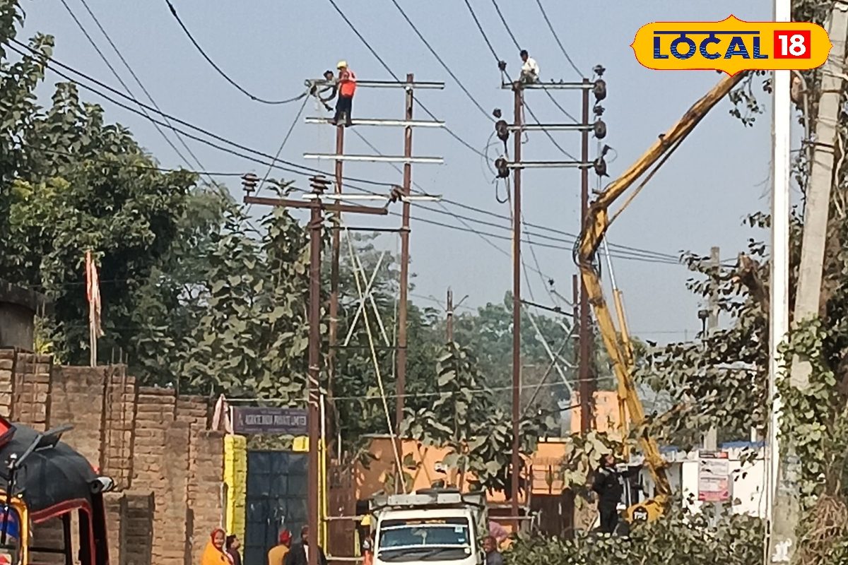 Power Cut In Purnia: पूर्णिया में कल फिर 4 घंटे बिजली गुल मेंटेनेंस के कारण इन इलाकों में आपूर्ति रहेगी ठप