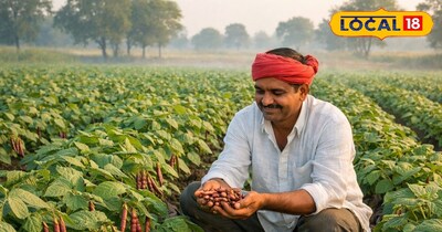 फाइल फोटो 