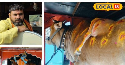 5 पैर की गाय को रथ गाड़ी में भारत भ्रमण कराते युवराज 