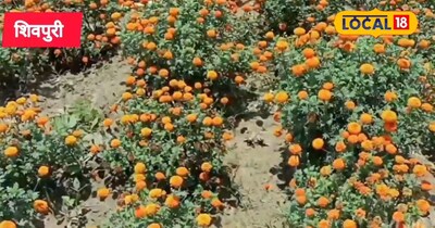 फूलों की खेती