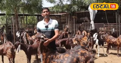 पुलिस की नौकरी छोड़ बकरी पालन से लाखों की कमाई