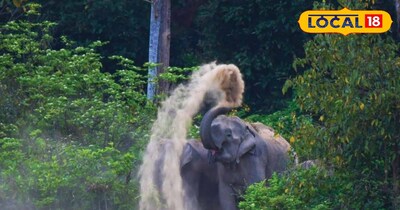 उत्तराखंड के जंगलों में बनाए जाएंगे इको टूरिज्म डेस्टिनेशन