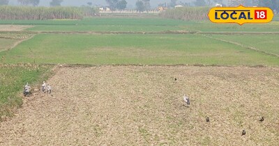 इंडो नेपाल बॉर्डर, महराजगंज