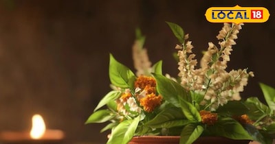 वास्तु के अनुसार इन पांच जगह पर तुलसी का पौधा भूलकर भी ना रखें