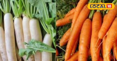 गाजर मूली की खेती कर कमाएं तगड़ा मुनाफा।