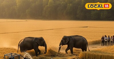 सांकेतिक फोटो.