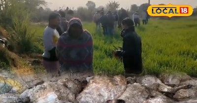 करौली के महाराजपुर गांव में जंगली जानवर के आतंक से दहशत