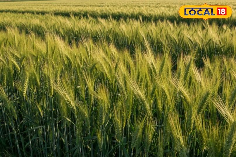 नमी की जरूरत