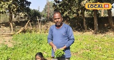 गुमला का ये किसान खेती बाड़ी में रच रहा इतिहास ,कृषि से कमा रहा सलाना लाखों रुपए