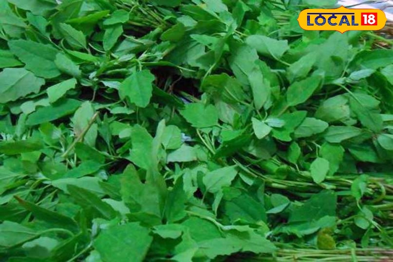 सर्दियों के मौसम मे करें इन हरी सब्जियों का सेवन स्वाद भी अच्छा सेहत मे सुधार के साथ कई बीमारी भी दूर 