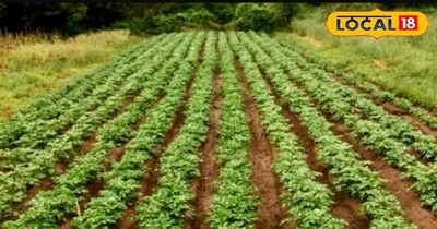 प्रतीकात्मक