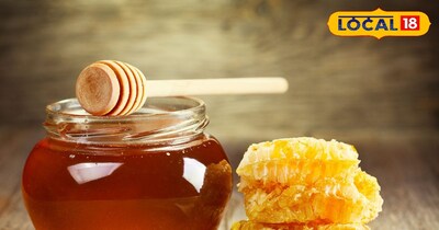 असली- नक़ली शहद की पहचान 