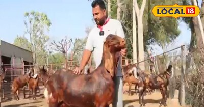 महादेव ढाका