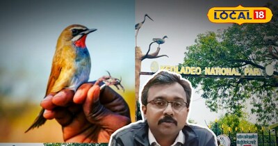 डीएफओ चेतन कुमार 