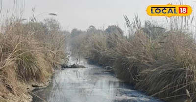 नहरों का पानी बना मौत का रास्ता, लोनी के दर्जनभर गांवों में फैल रहा कैंसर