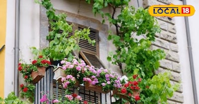 सांकेतिक फोटो.