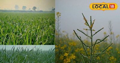 भरतपुर में ठंड का बढ़ता प्रकोप: