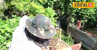 मधुमक्खी पालन 