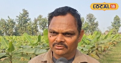 केला की खेती।