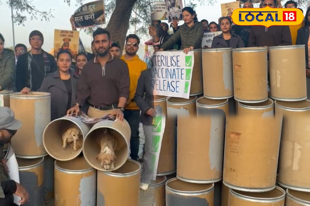 Jodhpur News: भीषण सर्दी में स्ट्रीट डॉग्स के लिए बड़ी राहत! एनिमल केयर सोसाइटी दे रही निशुल्क डॉग होम