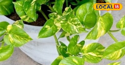 प्रतीकात्मक