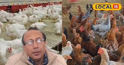 ठंड में मुर्गियों को बीमारी जल्दी लगती है.