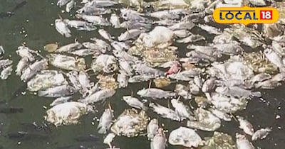प्रदूषित पानी की मछलियां बन सकती हैं सेहत के लिए ज़हर