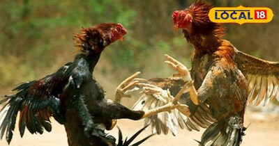 Tusu Festival and Cockfights—A Celebration of Rural Pride in Jharkhand