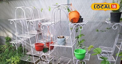 गार्डनिंग टिप्स