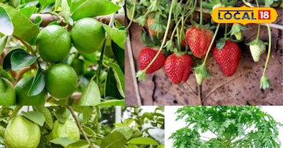 खेती टिप्स