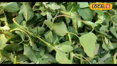 कम मसाले, लाजवाब स्वाद—भतवा भाजी की देसी रेसिपी