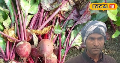 चुकंदर की खेती