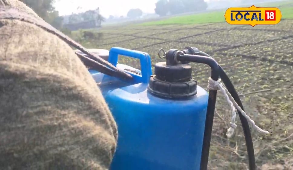 गांव-घर में रहकर कर सकते हैं ये काम बन जाएगा आपका रोजगार किसानों से मिलता है बढ़िया पैसा