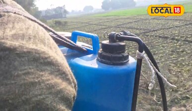 गांव में रहकर करें ये काम, कम निवेश में पाएं अच्छा रोजगार, किसानों से होगी कमाई