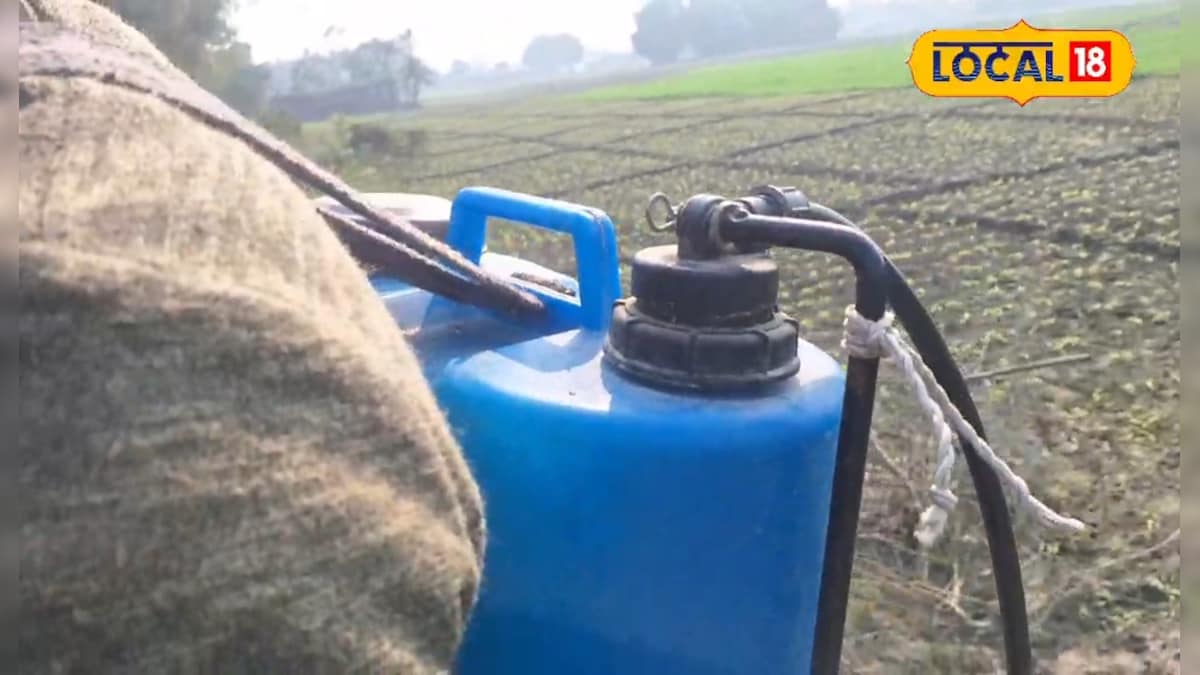 गांव-घर में रहकर कर सकते हैं ये काम, बन जाएगा आपका रोजगार, किसानों से मिलता है बढ़िया पैसा