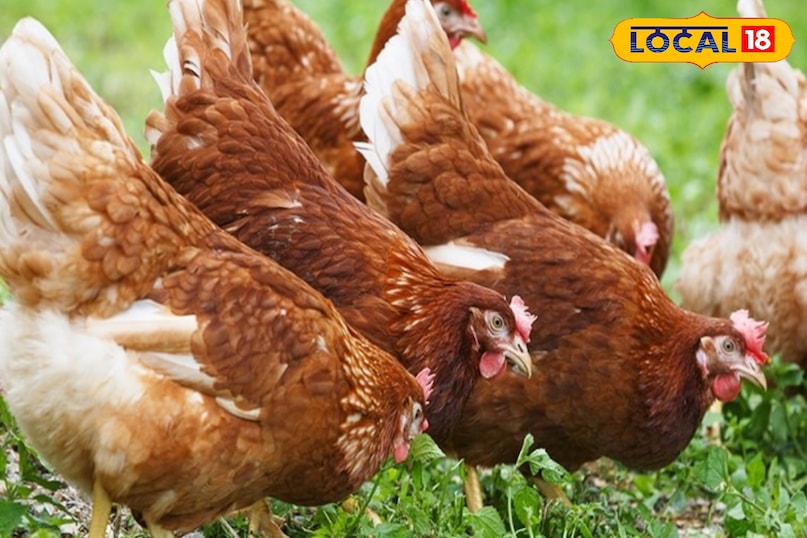 ईसा ब्राउन