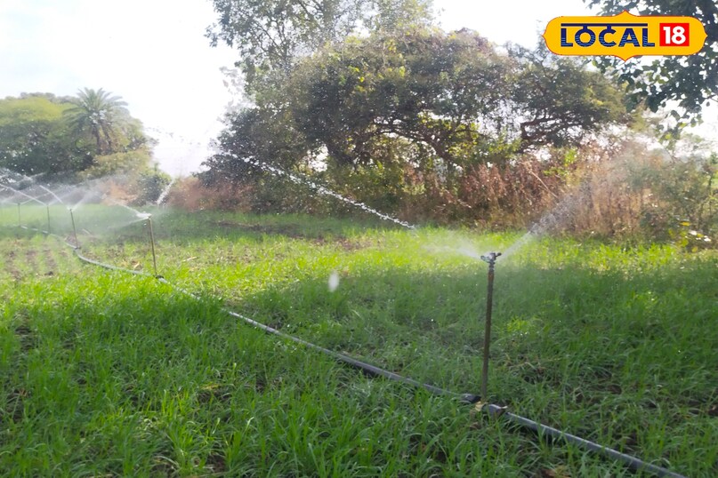 50 60 दिन में 