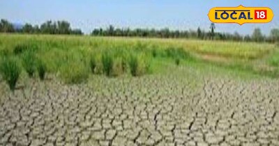 बंजर होती जमीन फिर बन सकती है उपजाऊ