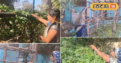 कम जगह, ज्यादा उत्पादन: मचान पद्धति से जैविक सब्जी उत्पादन